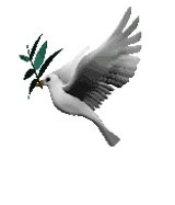 Mon logo